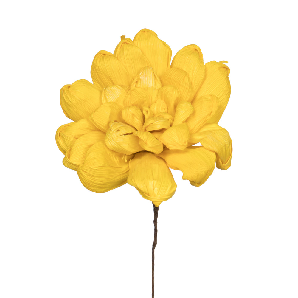 Vickerman Natural Botanicals 6" Yellow Maize Dahlia on 18" wire stem- 6 stem/bag. Peserved.