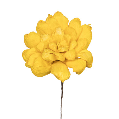 Vickerman Natural Botanicals 6" Yellow Maize Dahlia on 18" wire stem- 6 stem/bag. Peserved.