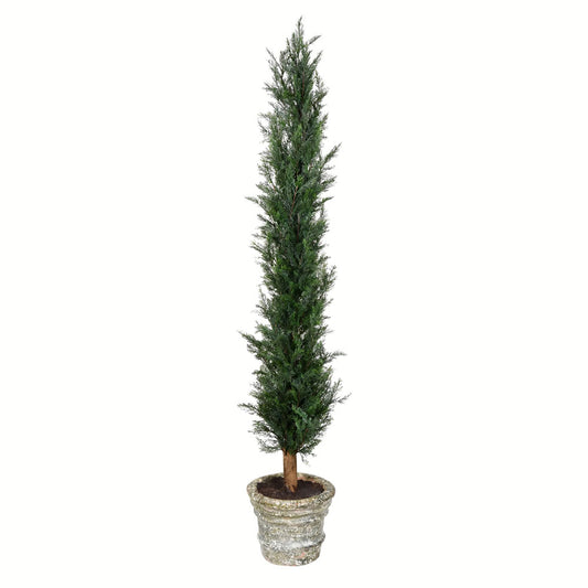 Vickerman 60" Artificial Potted Cedar Tree in Paper Pot.