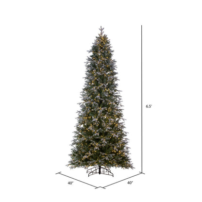Vickerman 6.5' x 40" Frosted Douglas Fir Artificial Pre-Lit Christmas Tree Warm White LED Lights.