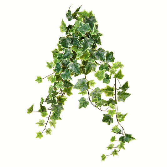 Vickerman 28" Artificial Varigated Ivy Hanging Bush Pack of 2