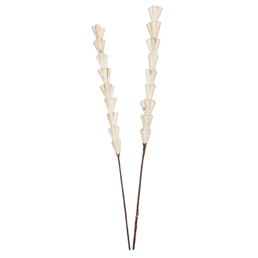 Vickerman Natural Botanicals 24" Natural Dried Sola Rajani Stick- 24 sticks/polybag. Preserved.
