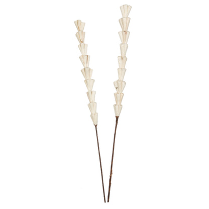 Vickerman Natural Botanicals 24" Natural Dried Sola Rajani Stick- 24 sticks/polybag. Preserved.