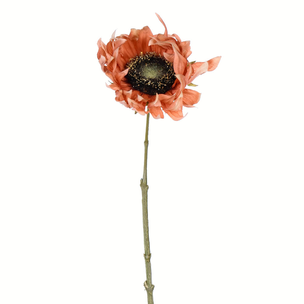 Vickerman 24" Artificial Brown Sunflower Stem Set of 4