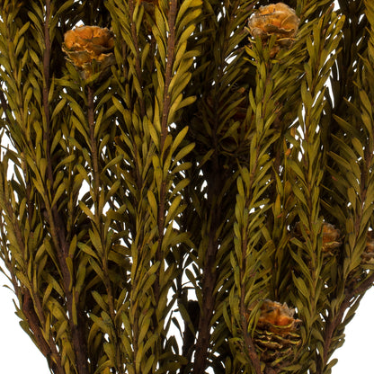 Vickerman 12" Autumn Tortum Bundle Female Preserved