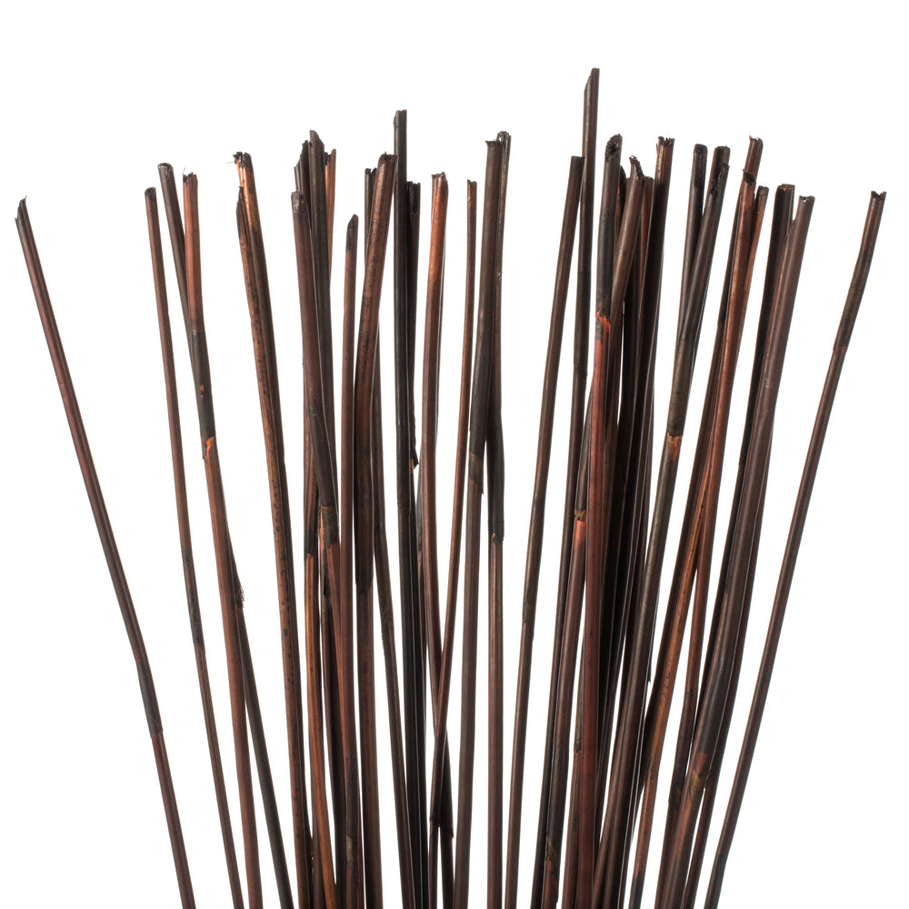 Vickerman 40" Brown Elephant Reed 10 oz Bundle Dried