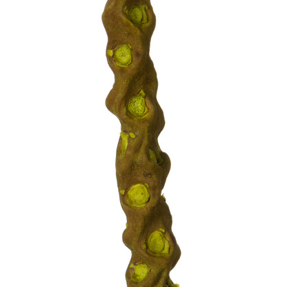 Vickerman 36-40" Light Basil Caba Spine Bundle. Includes 24oz (3 -8oz Bundles) Dried
