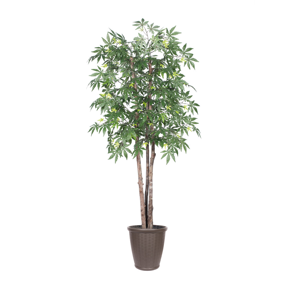 Vickerman 6' Artificial Japanese Maple Deluxe Tree Brown Round Plastic Container.