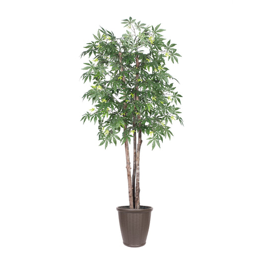 Vickerman 6' Artificial Japanese Maple Deluxe Tree Brown Round Plastic Container.