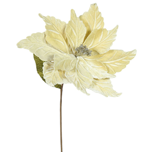 Vickerman 22" Champagne Poinsettia Artificial Christmas Flower 6 per Bag