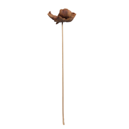 Vickerman Natural Botanicals 2.75" Palm Cap Natural on Stem. Includes 75 pieces per Pack.