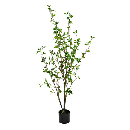 Vickerman 60" Artificial Potted Baby Leaf Tree in Black Planters Pot.