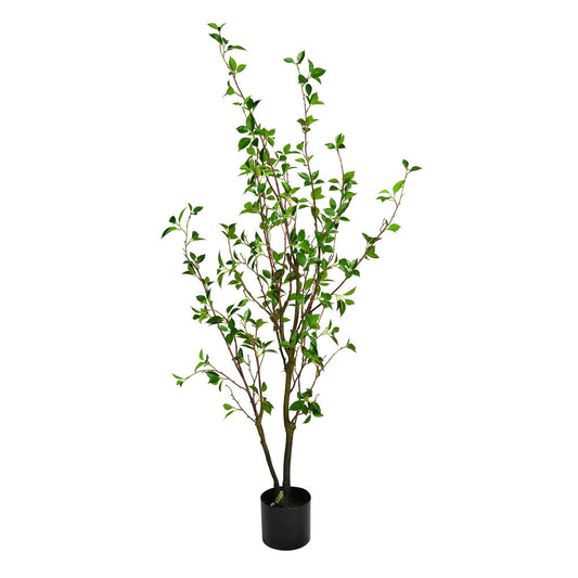 Vickerman 60" Artificial Potted Baby Leaf Tree in Black Planters Pot.