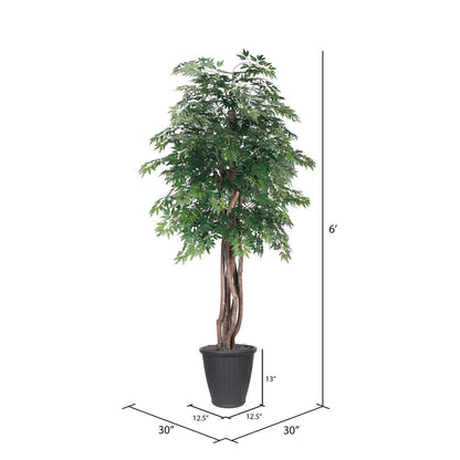 Vickerman 6' Artificial Ming Aralia Executive Tree Gray Round Plastic Container.