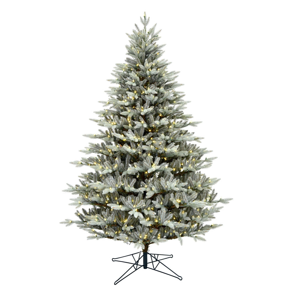 Vickerman 6.5' x 51" Douglas Blue Fir Artificial Christmas Tree Warm White Dura-lit LED Lights