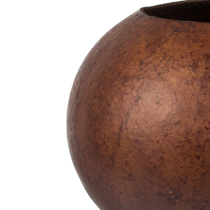 Vickerman 6-7"H x 6-8"W Brown Bacacuia Gourd. Includes 3 Pieces Dried