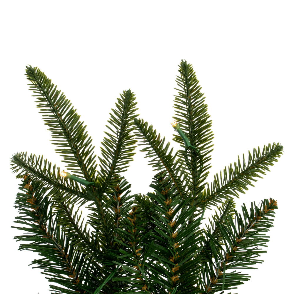 26" Maine Fraser Fir Wreath B/O 50WW