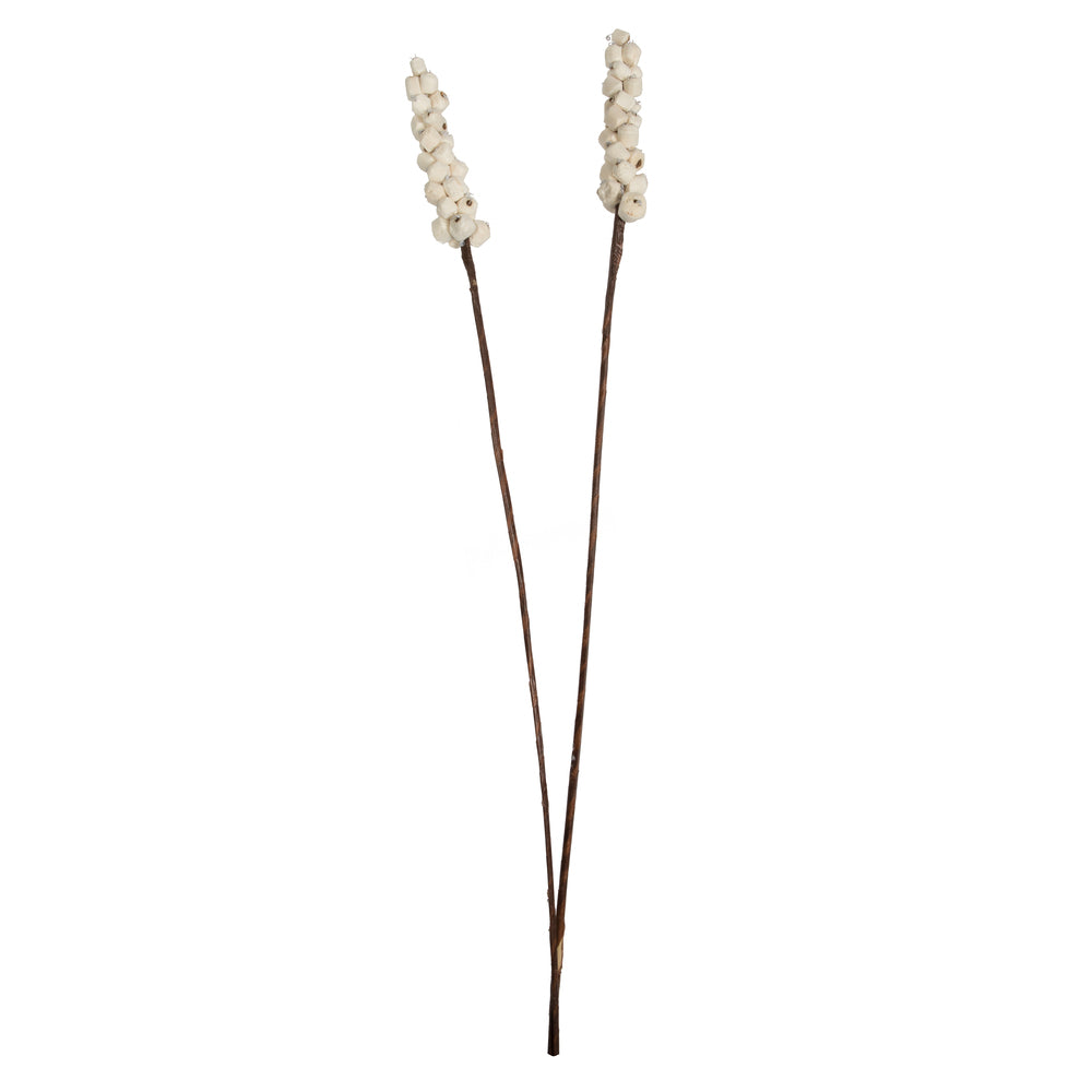 Vickerman Natural Botanicals 24" Natural Dried Sola Berries Stick- 24/bag. Dried and preserved.