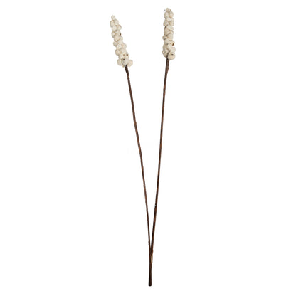 Vickerman Natural Botanicals 24" Natural Dried Sola Berries Stick- 24/bag. Dried and preserved.