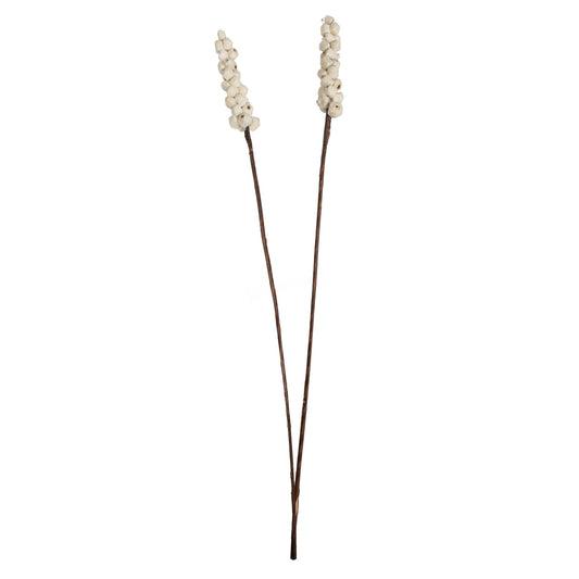 Vickerman Natural Botanicals 24" Natural Dried Sola Berries Stick- 24/bag. Dried and preserved.