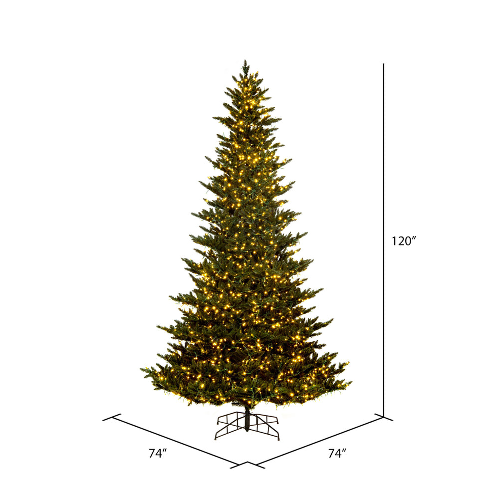 Vickerman 10' x 74" Natural Fraser Fir Artificial Christmas Tree 3mm LED Color Changing Lights