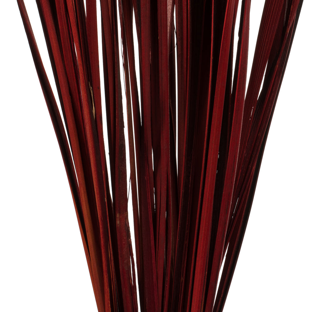 Vickerman 28" Red Splinter Grass 11 oz Bundle Dried