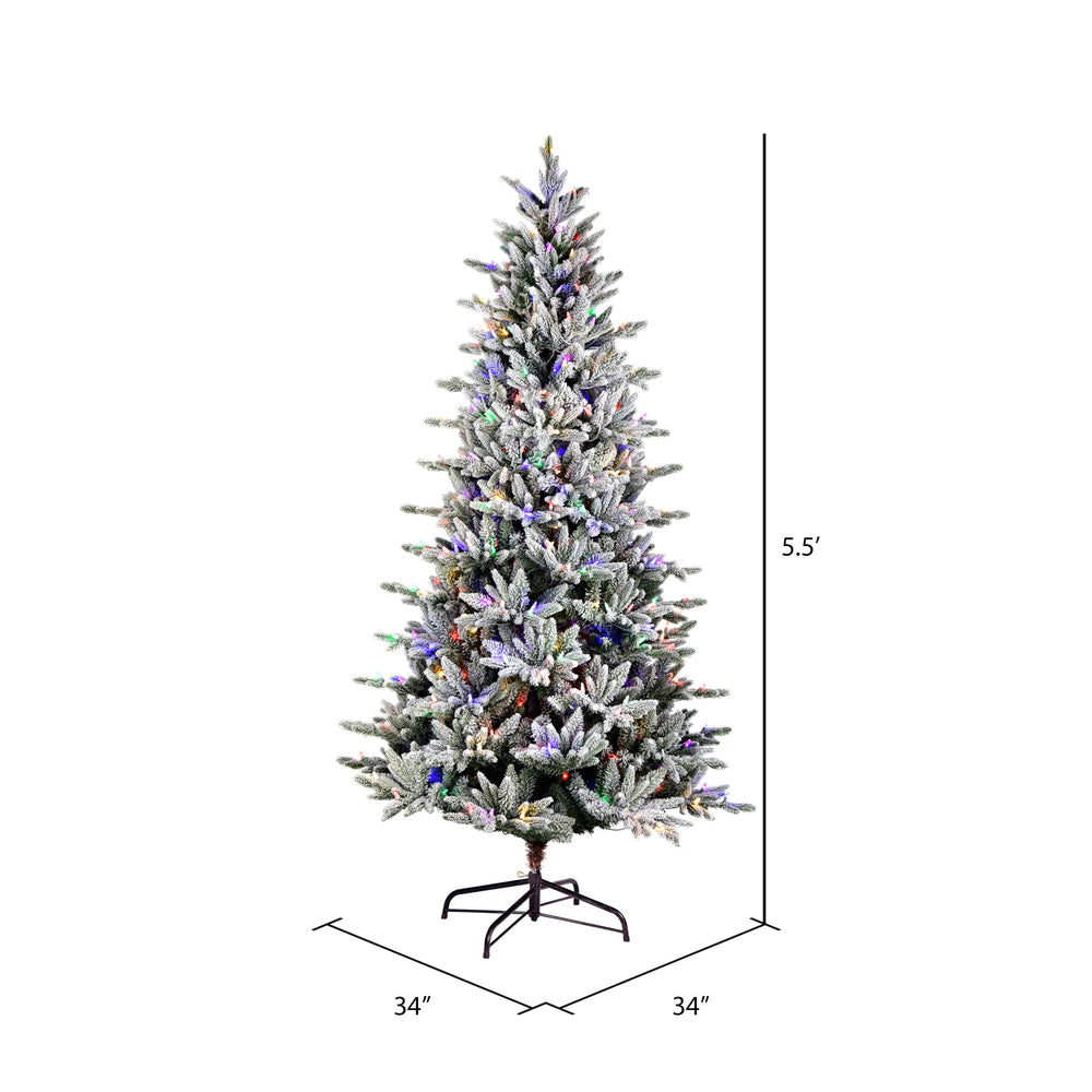 Vickerman 5.5' x 34" Flocked Vail Pine Artificial Christmas Tree Multi-colored Dura-Lit® LED Lights