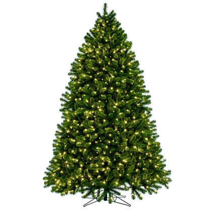 Vickerman 6.5' x 55" Deluxe Sequoia Pine Artificial Full Pre-Lit Christmas Tree with 800 Warm White LED 5MM Lights. It measures 78 inches tall and 55 inches wide, which is considered a Full profile. This tree boasts 1432 PVC tips for a realistic look. Pre