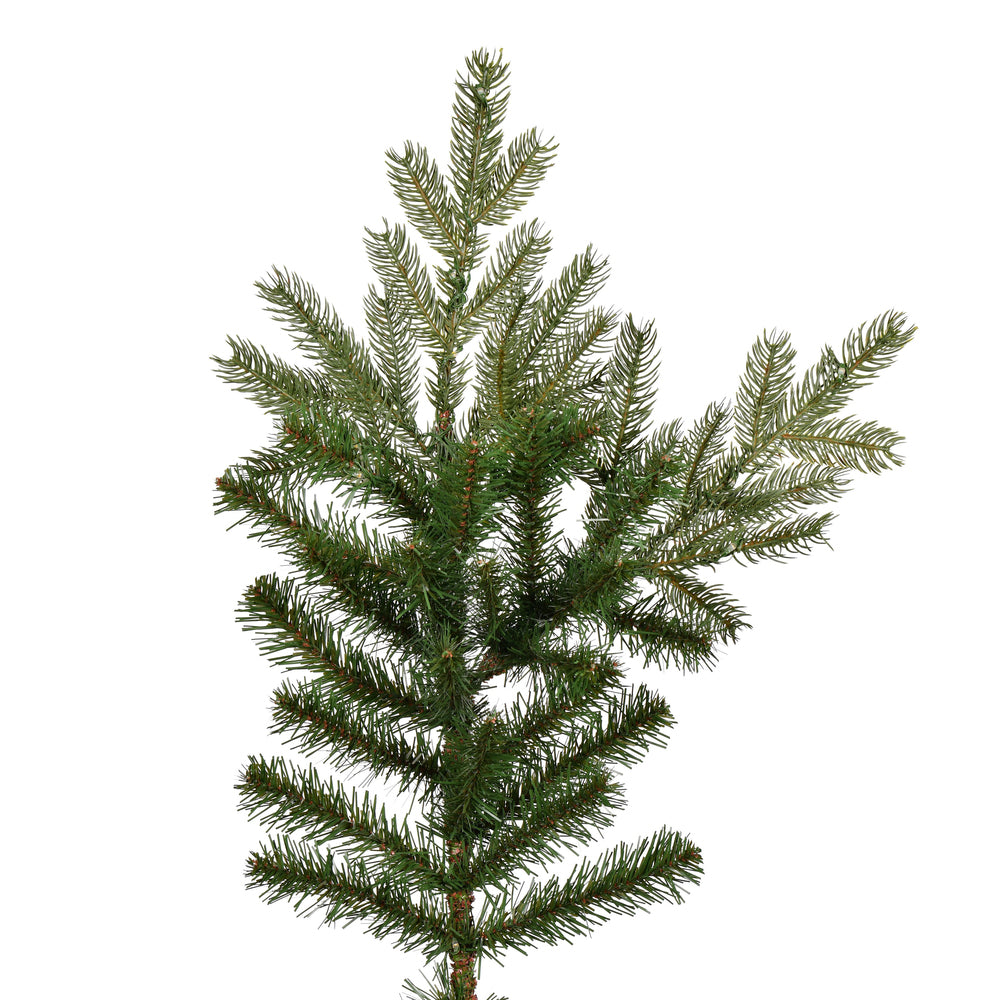 Vickerman 7.5' x 67" Sherwood Fir Artificial Christmas Tree Unlit