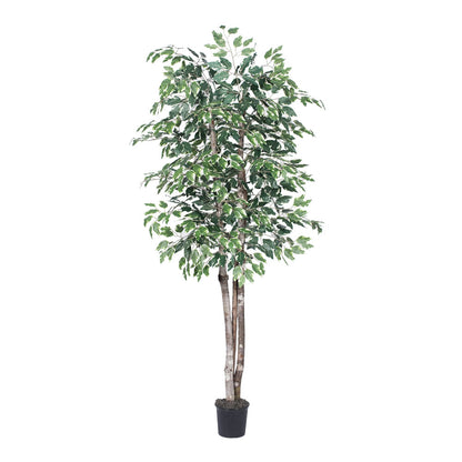 Vickerman 6' Artificial Variegated Deluxe Black Plastic Pot