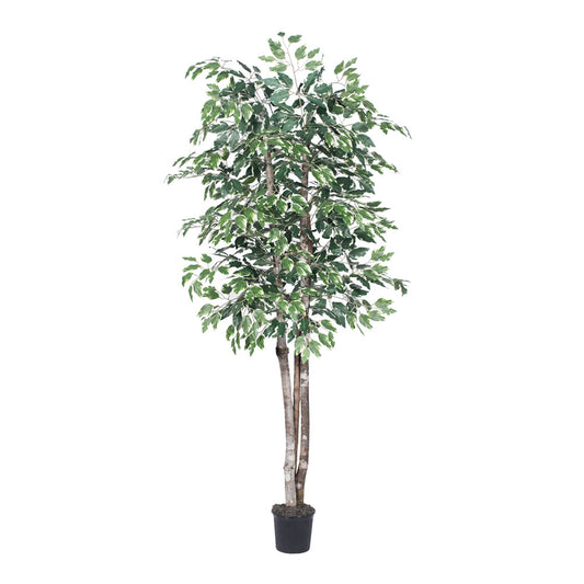 Vickerman 6' Artificial Variegated Deluxe Black Plastic Pot