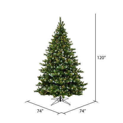 Vickerman 10' x 74" New Haven Spruce Artificial Christmas Tree  Clear Dura-lit Lights