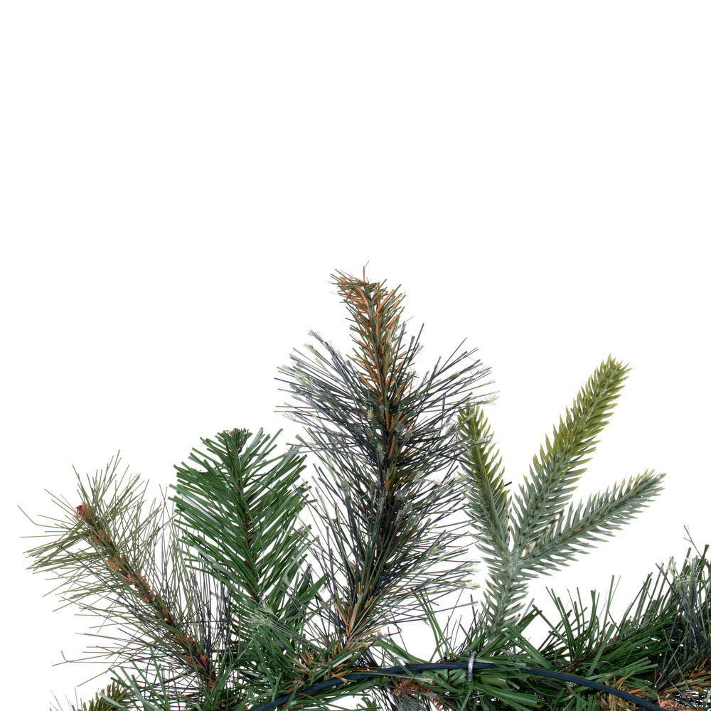 Vickerman 24" Cashmere Artificial Christmas Wreath Unlit