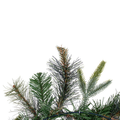 Vickerman 24" Cashmere Artificial Christmas Wreath Unlit