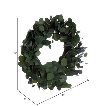 Vickerman 24" Artificial Green Silver Dollar Populus Eucalyptus Wreath