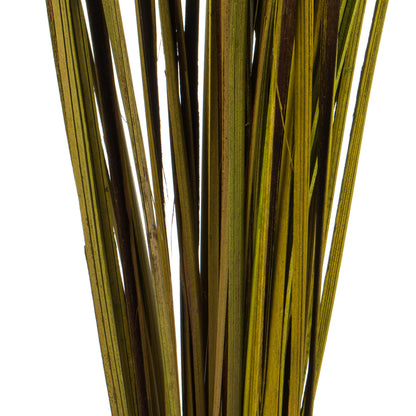 Vickerman 28"  Basil Splinter Grass 11 oz Bundle Dried