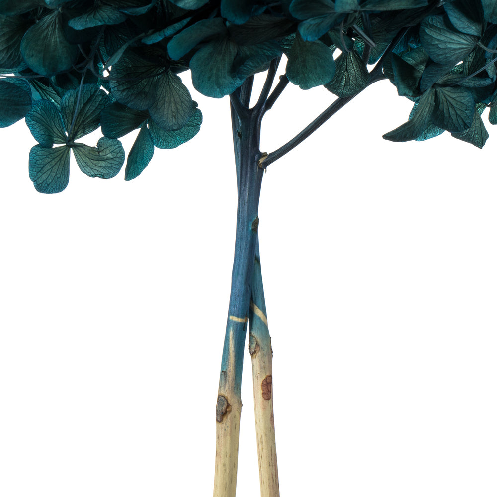 Vickerman 15" Blue Hydrangea with Multiple Branch Segments. Preserved