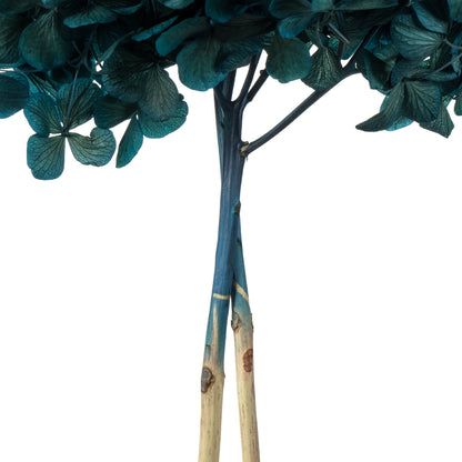 Vickerman 15" Blue Hydrangea with Multiple Branch Segments. Preserved