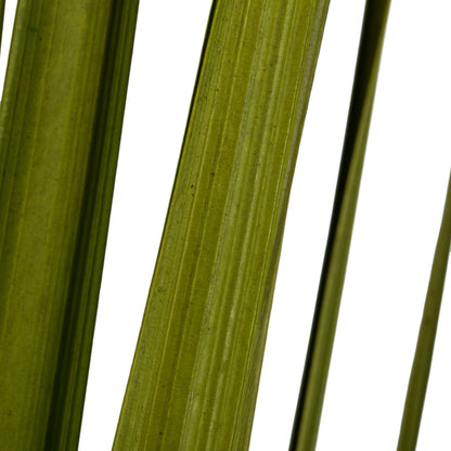 Vickerman 36-40" Basil Sable Grass  7 oz Bundle Dried