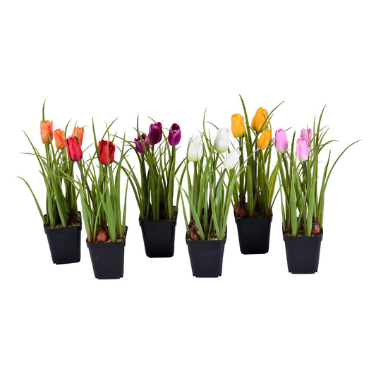 Vickerman 10" Artificial Tulips in Black Plastic Planters Pots Set of 6.