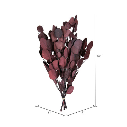 Vickerman Natural Botanicals 18-20" x 8" Eucalyptus Populus Red 100 grams per unit