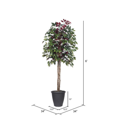 Vickerman 6' Artificial Capensia Tree Gray Round Plastic Container.