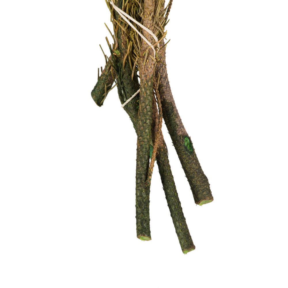 Vickerman 12-16" Yellow/Green Brunia 4 oz Bundle Preserved
