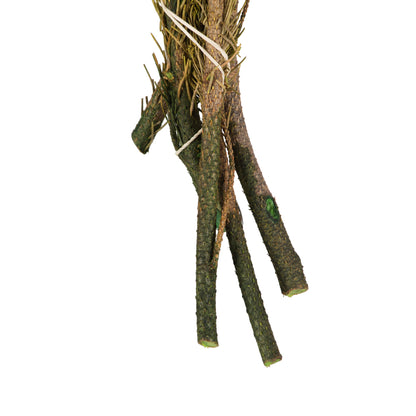 Vickerman 12-16" Yellow/Green Brunia 4 oz Bundle Preserved