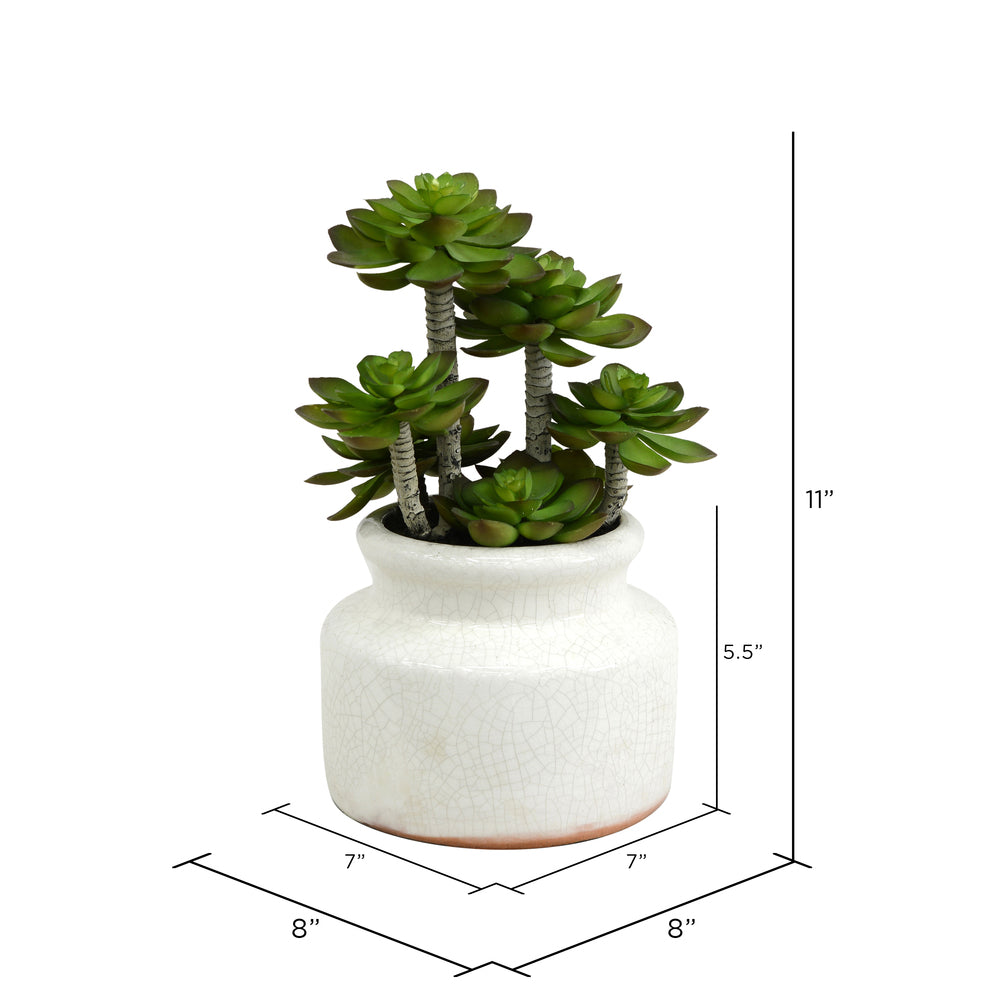Vickerman 11" Artificial Green Succulent in Round Ceramic Pot.