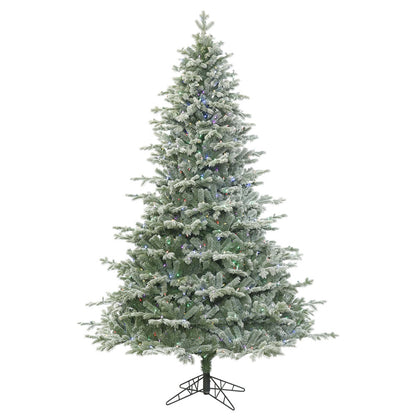 Vickerman 12' Frosted Denton Spruce Artificial Christmas Tree with 1600 Multi-Colored LED Lights