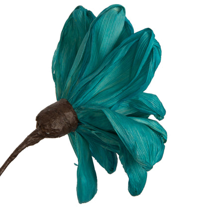 Vickerman Natural Botanicals 6" Turquoise Maize Dahlia on 18" wire stem- 6 stem/bag. Dried and preserved.