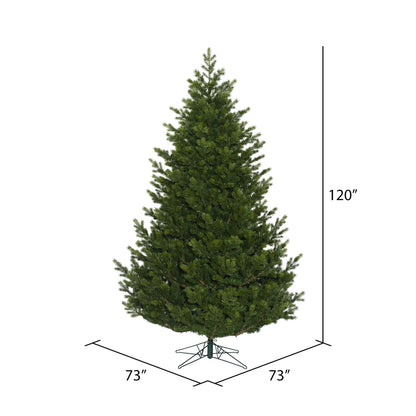 Vickerman 10' x 73" Eagle Fraser Full Artificial Christmas Tree Unlit