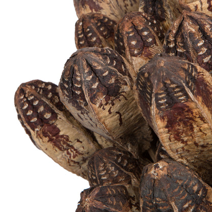 Vickerman Natural Botanicals 20" Mehogany Pods on Stem. Includes 100 Stems per Pack