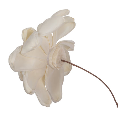Vickerman Natural Botanicals 4" Eleanor Sola Flower on 12" Stem - 12 stems/bag. Dried and preserved.